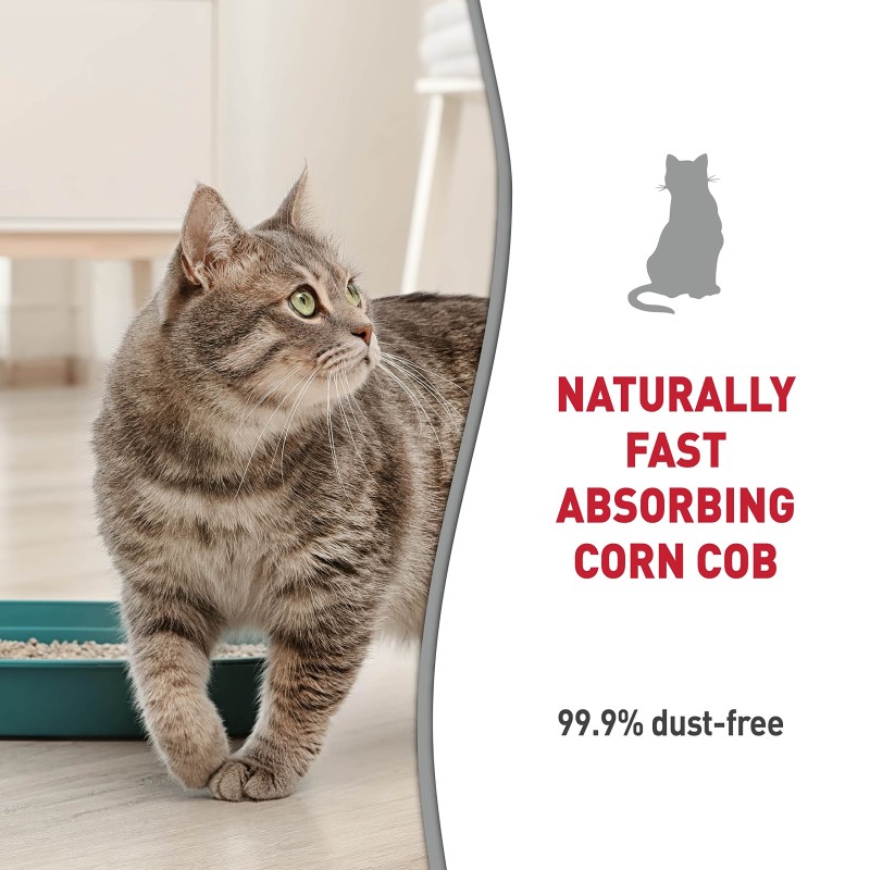 Corn Cat Litter Factory - OEM Dust Free Clumping Litter