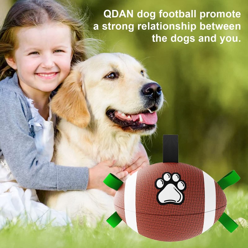 Pet Motion Toy Factory - OEM PU Nylon Rugby Ball