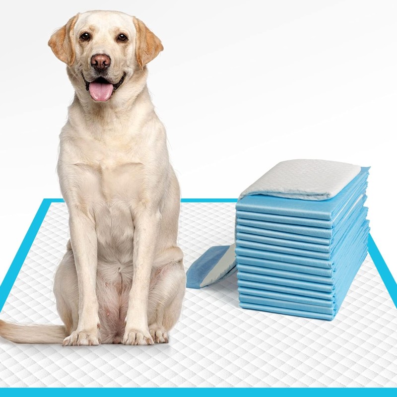 Pet Pee Pad Factory - OEM Leak Proof Bamboo Plastic