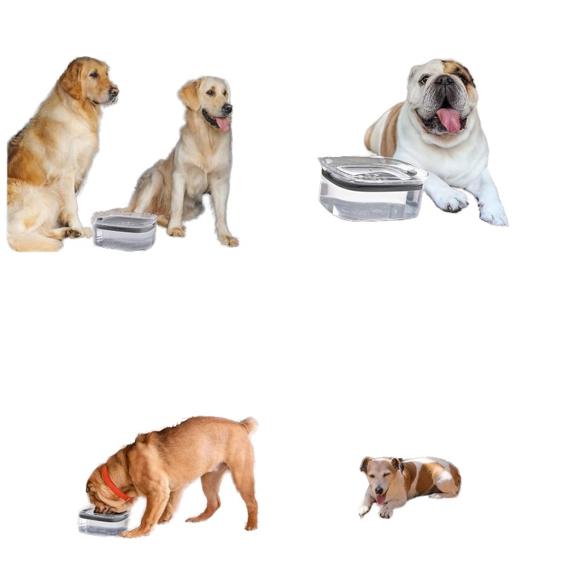 Slow Water Feeder Manufacturer - OEM 2L Spill Proof Bowl