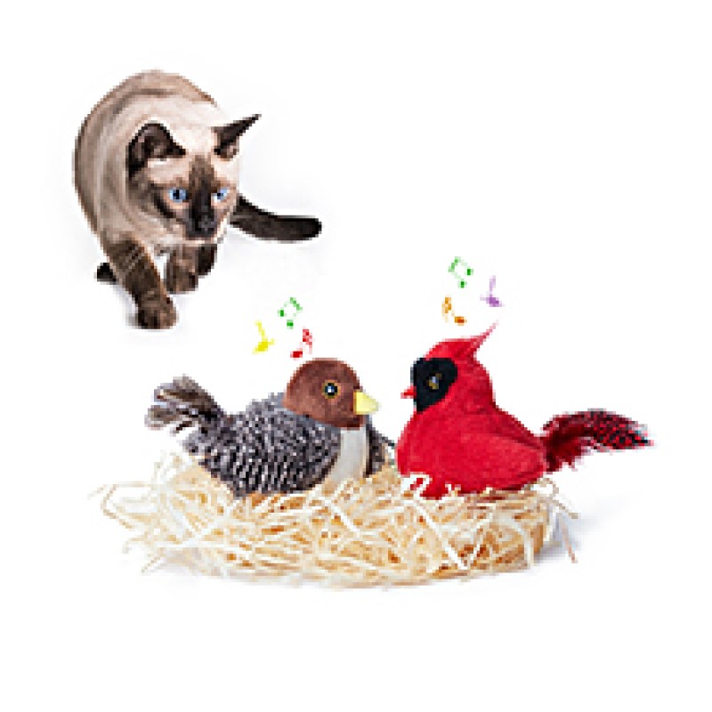 Interactive Cat Toy Factory - OEM Automatic Movement Toys