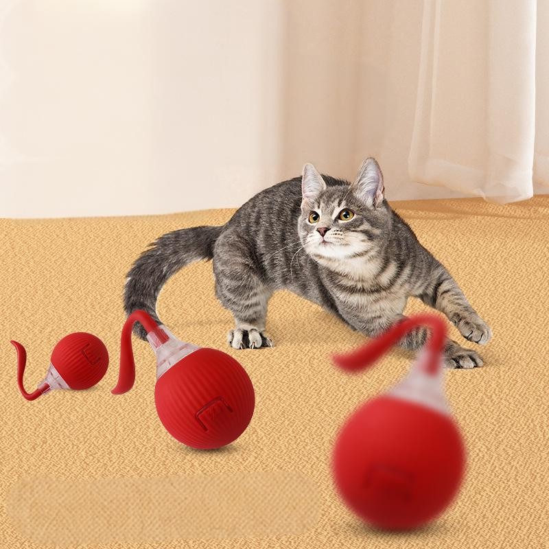 Cat Chew Toy Manufacturer - OEM Multi Color Interactive