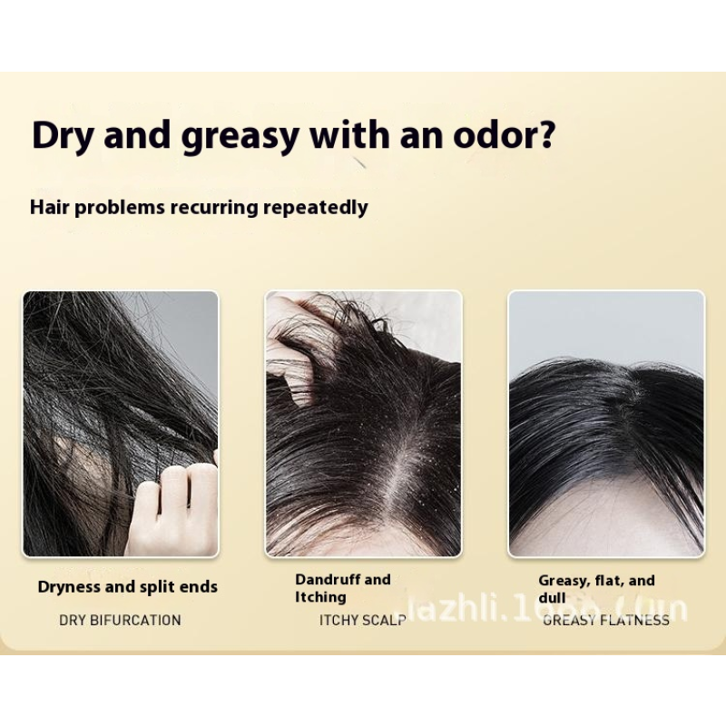 Shampoo Bar Manufacturer - OEM Herbal Oil Control Soap