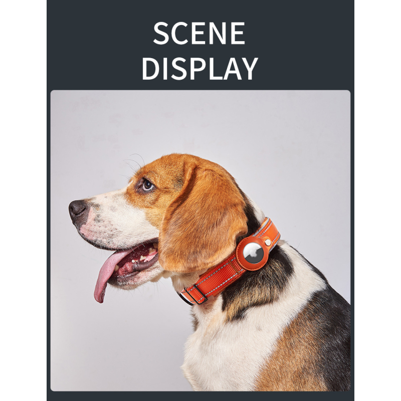 Dog Collar Set Manufacturer - OEM Soft PU Leather Collar