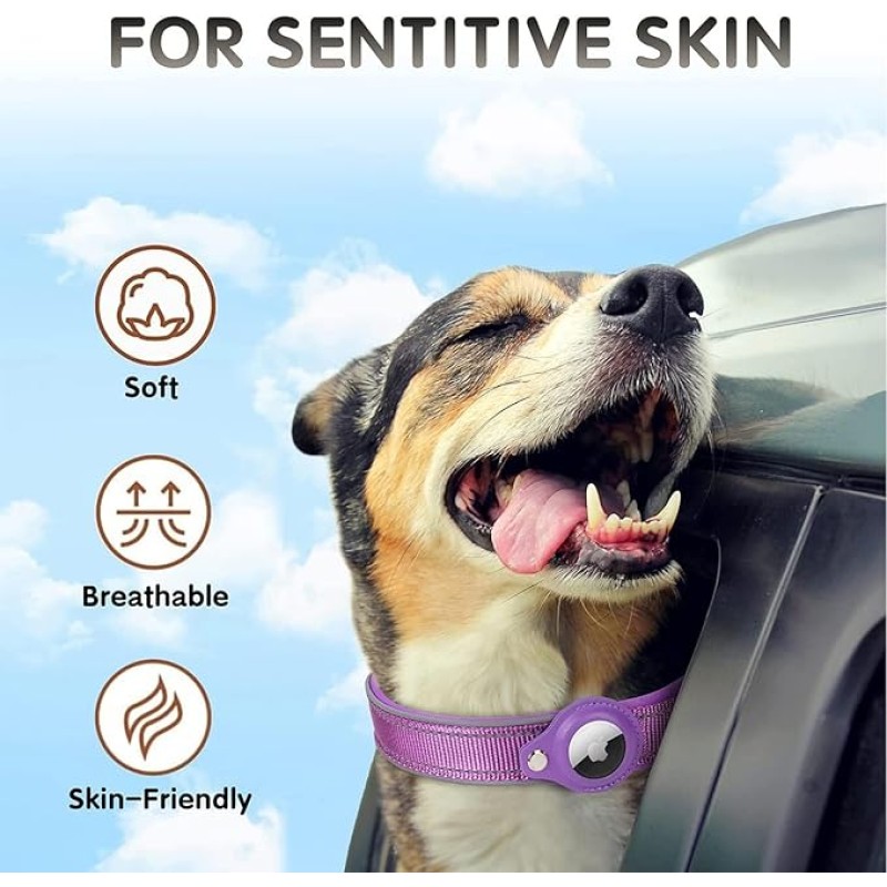 Dog Collar Set Manufacturer - OEM Soft PU Leather Collar