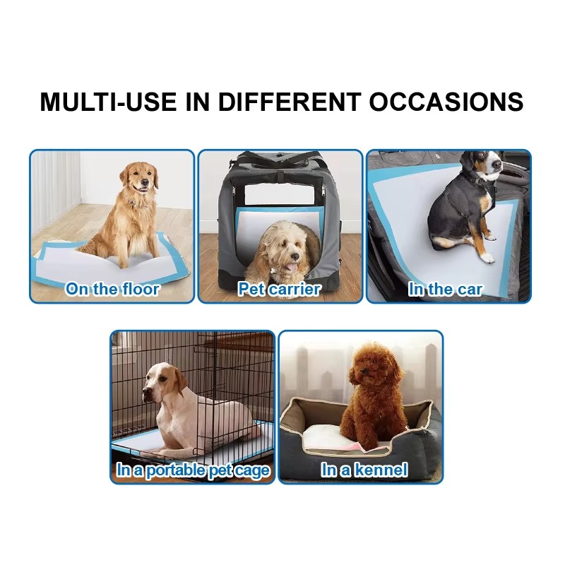Puppy Training Pad Manufacturer - OEM Super Absorbent Pads