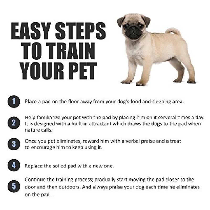 Pet Training Supplies Manufacturer - OEM Bamboo Disposable