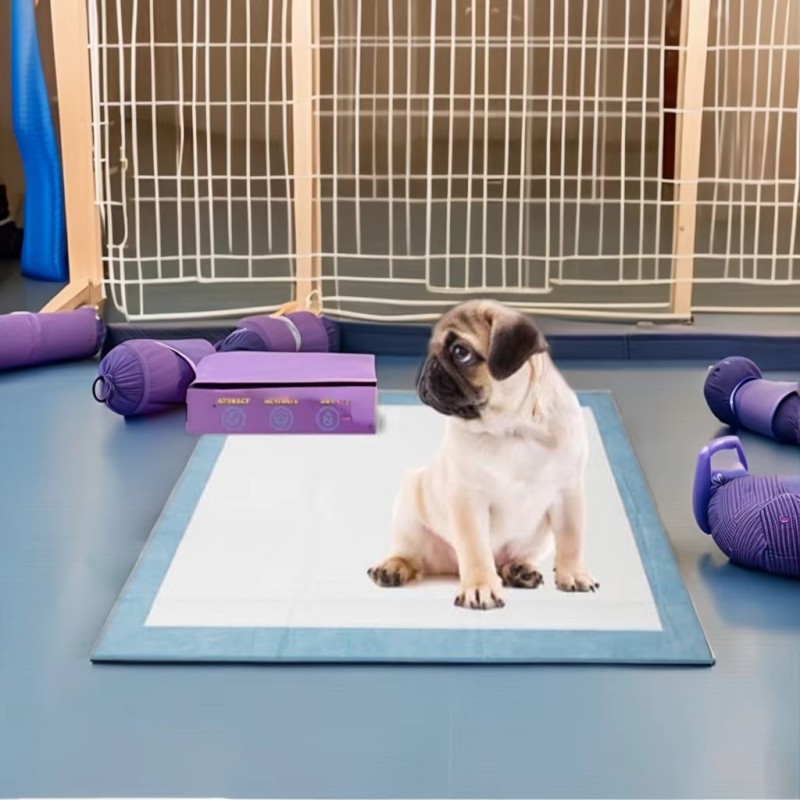 Dog Training Pad Factory - OEM Leak Proof Bamboo Pads