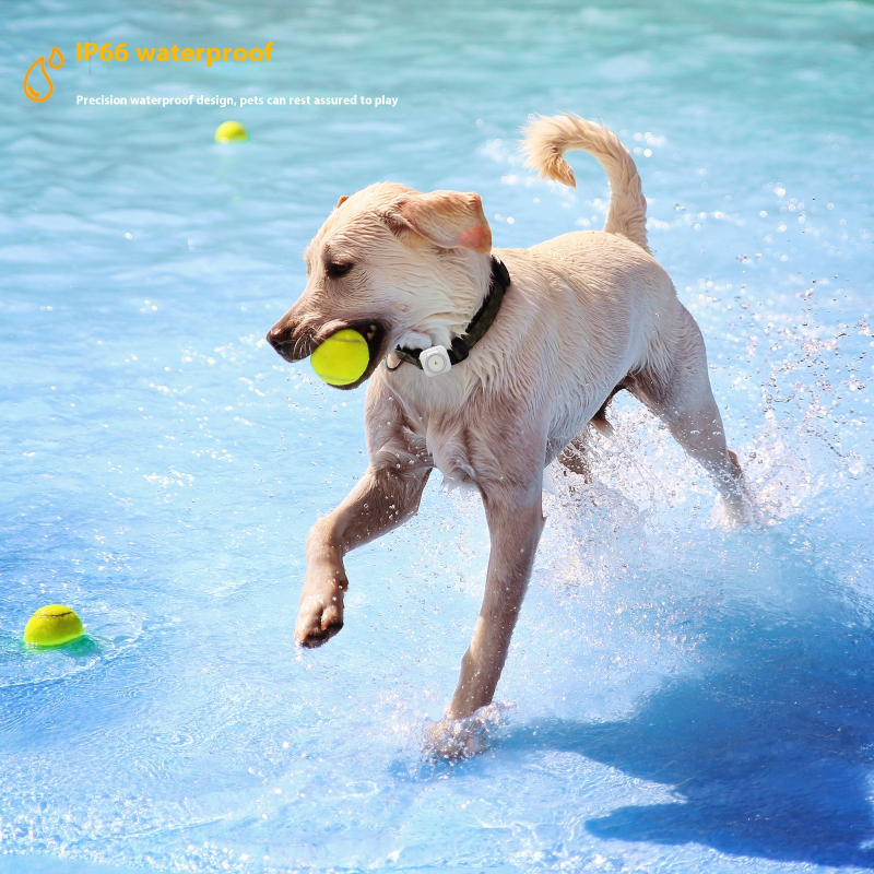 GPS Pet Tracker Factory - OEM Health Monitoring Device