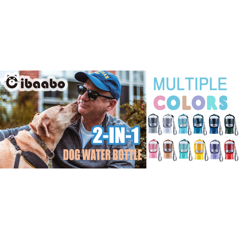 Dog Bowl Manufacturer - OEM 4 in 1 Eco Friendly Box