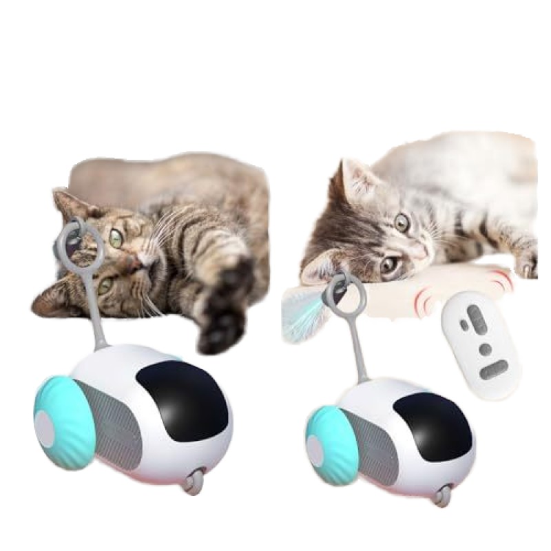 Pet Interactive Toy Factory - OEM Remote Controlled Toys