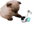 Interactive pet toys