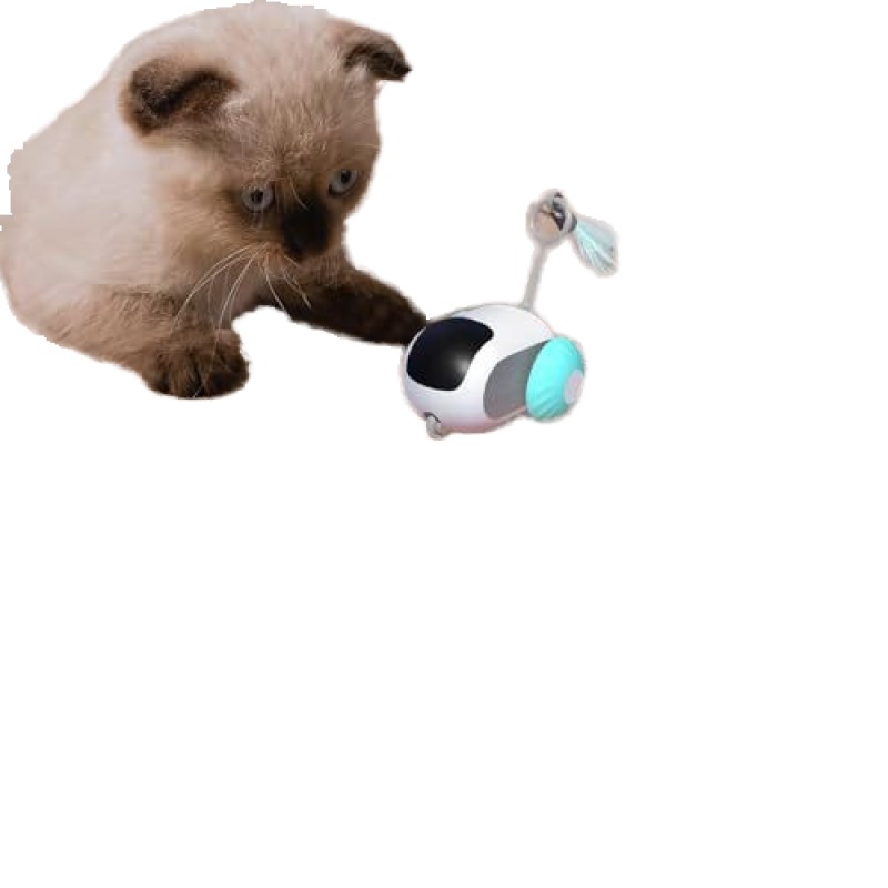 Pet Interactive Toy Factory - OEM Remote Controlled Toys