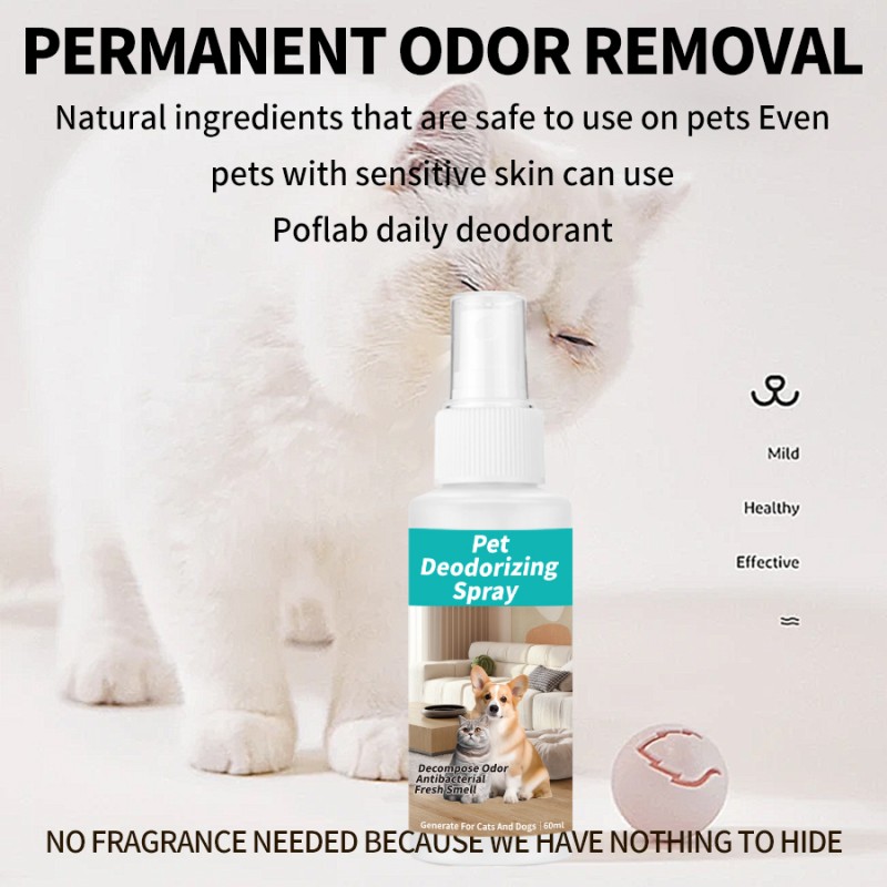 Pet Deodorant Spray Manufacturer - OEM Eco-Friendly Carpet Cleaner