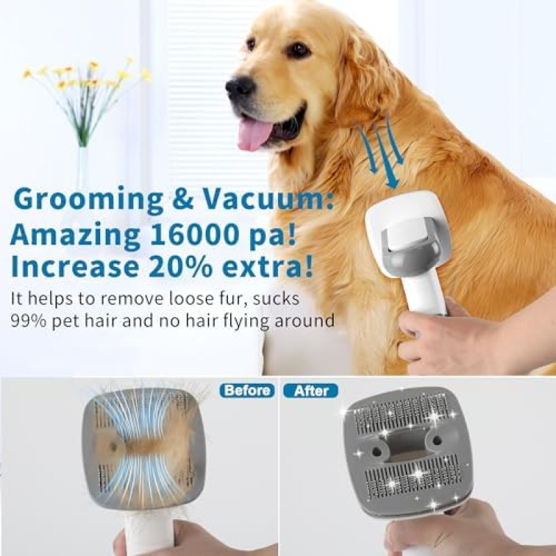 Pet Vacuum Manufacturer - OEM Low Noise Hair Clipper