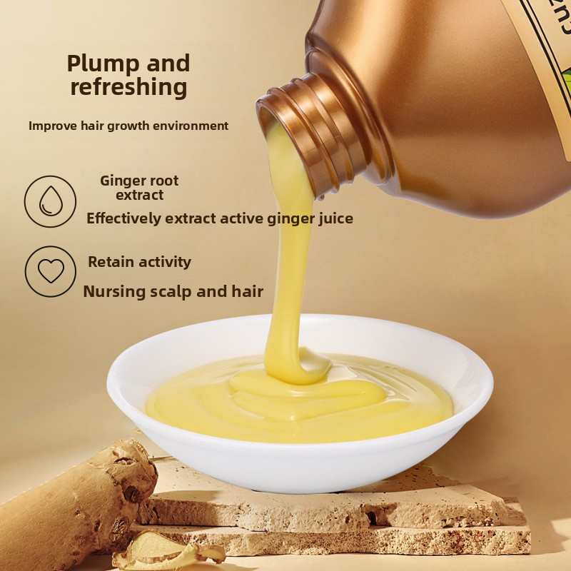 Ginger Shampoo Manufacturer - OEM Anti Frizz Conditioner