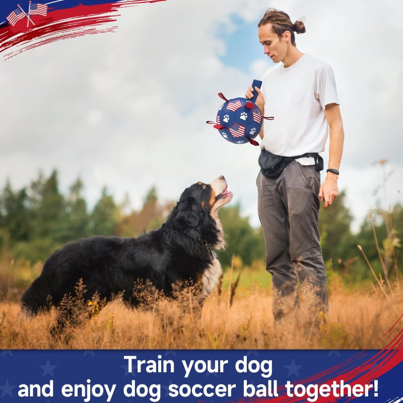 Dog Chew Toy Manufacturer - OEM Indestructible Ball Toy