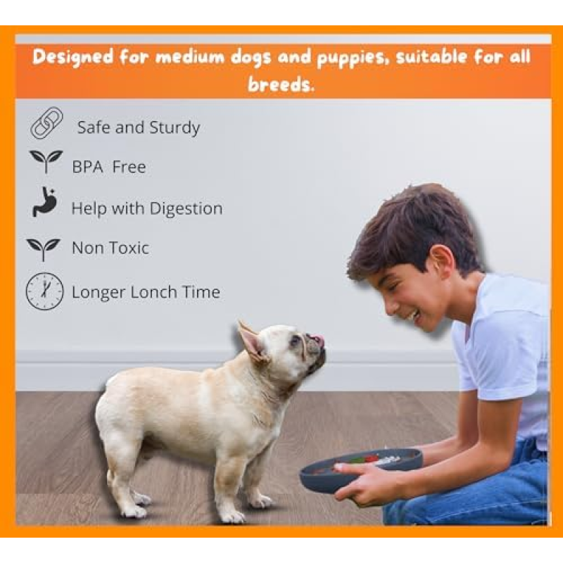 Slow Feeder Bowl Manufacturer - OEM Anti Slip Silicone Bowl