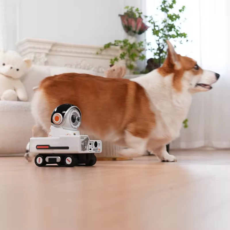 Pet Camera Factory - OEM AI Mobile 1080P Camera