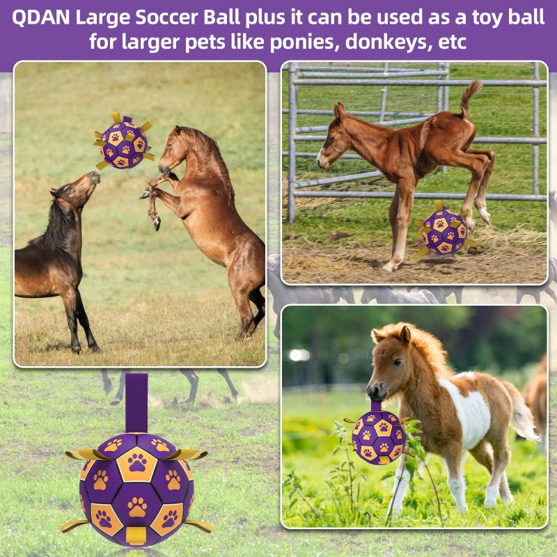 Dog Chew Toy Manufacturer - OEM Customizable Logo Ball