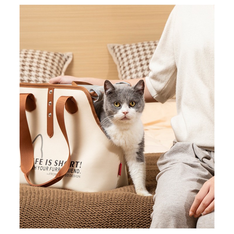Pet Travel Backpack Factory - OEM Luxury Eco Friendly Bag