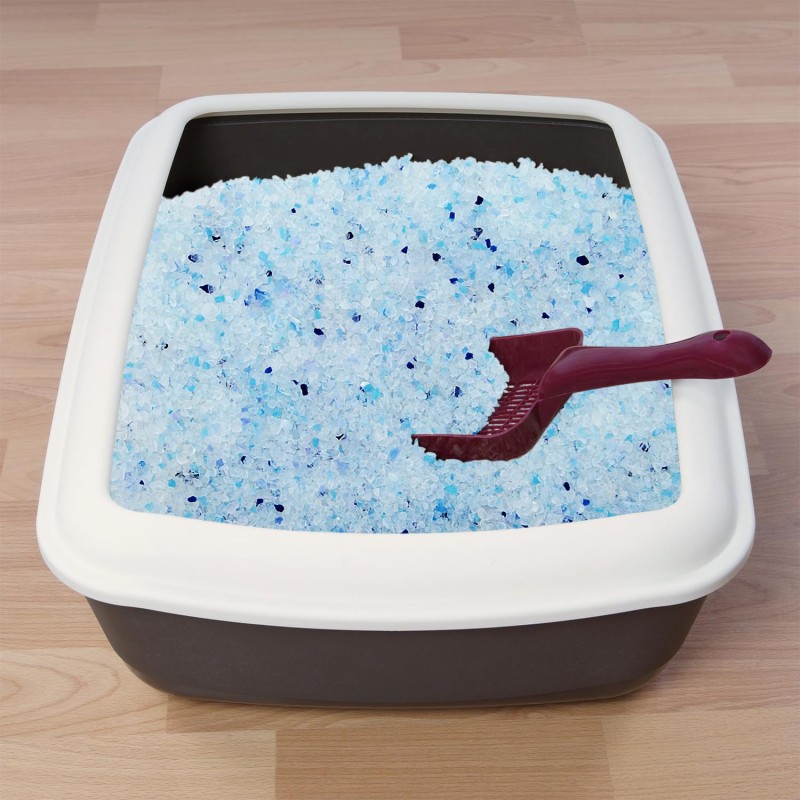 Cat Litter Manufacturer - OEM Lavender Activated Carbon