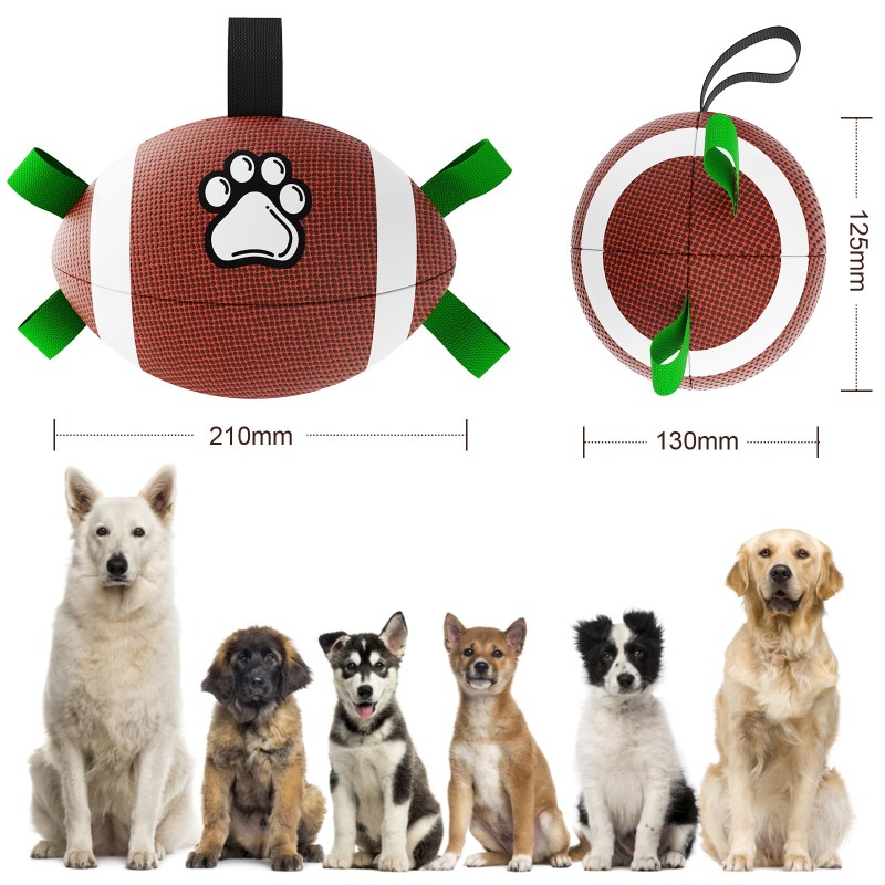 Pet Motion Toy Factory - OEM PU Nylon Rugby Ball