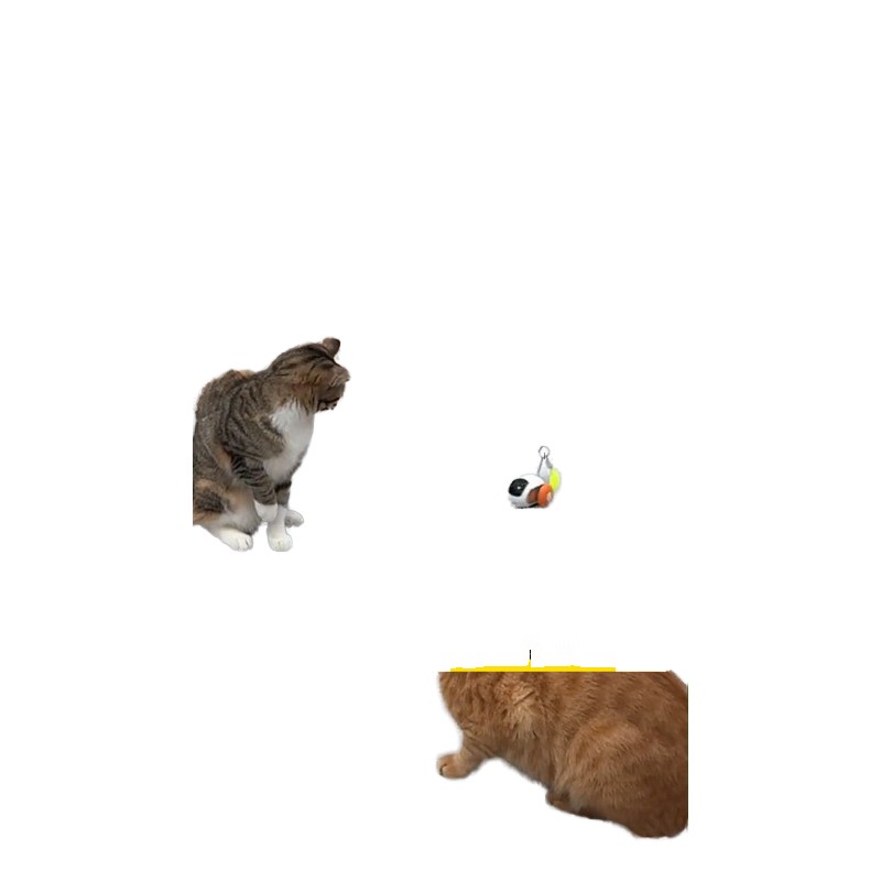 Pet Interactive Toy Factory - OEM Remote Controlled Toys