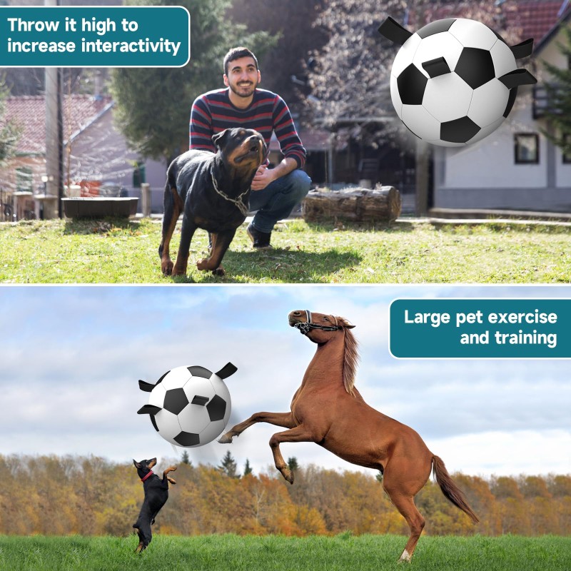 Interactive Ball Factory - OEM Soccer Training Toy