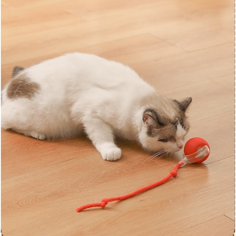 Silicone Cat Toy Manufacturer - OEM Electric Playing Balls
