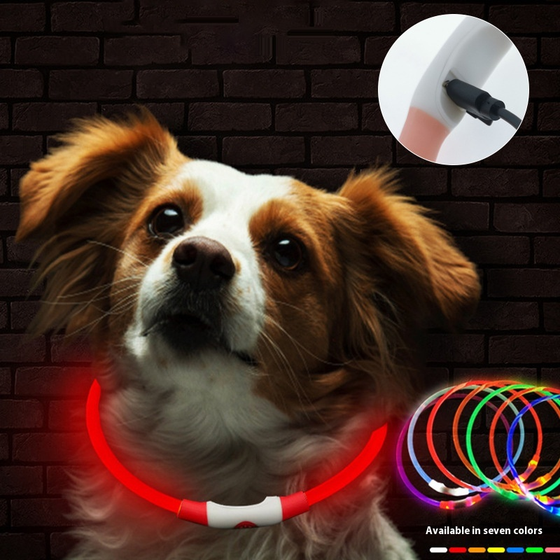 LED Dog Collar Manufacturer - OEM USB Rechargeable Neckband