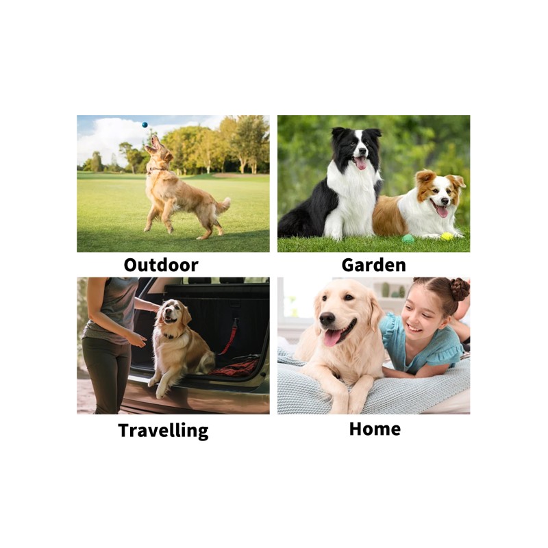 Pet Grooming Wipes Factory - OEM Eco-Friendly Disposable Gloves