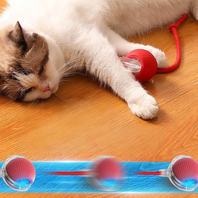 Cat Chew Toy Manufacturer - OEM Multi Color Interactive