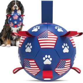 Dog Chew Toy Manufacturer - OEM Indestructible Ball Toy