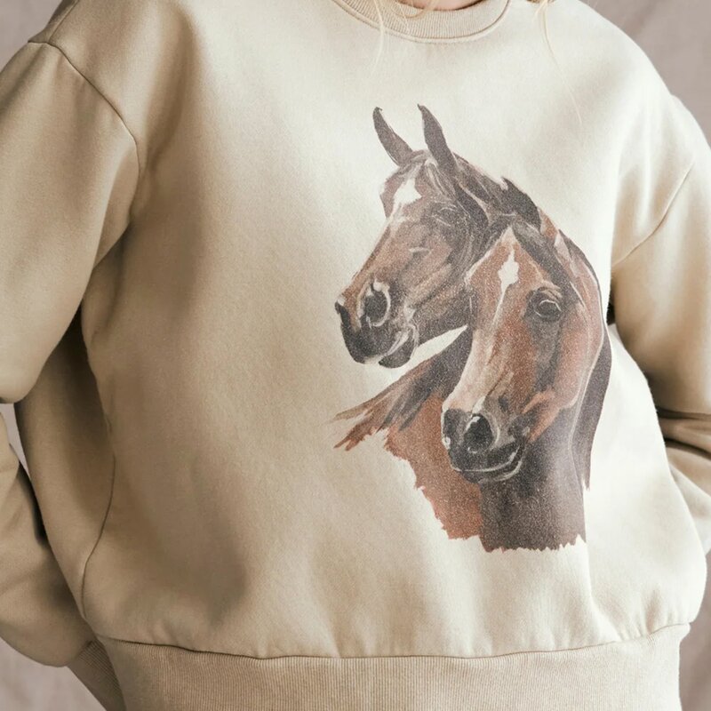 Fleece Lined Sweatshirt Supplier - Daily Wear Equestrian Print Loose Fit Plus Velvet