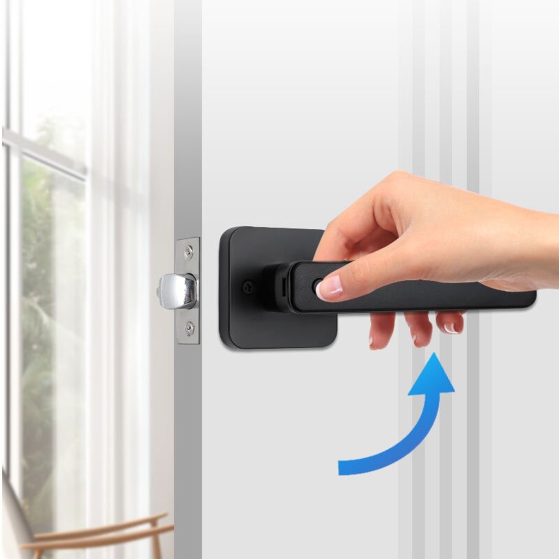 Smart Lever Handle Lock Factory - BBDHOME Intelligent Fingerprint Password Tuya