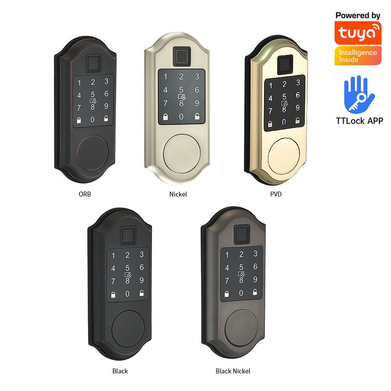 American Standard Smart Lock Supplier - Tuya TT LOCK Gold Color Built in