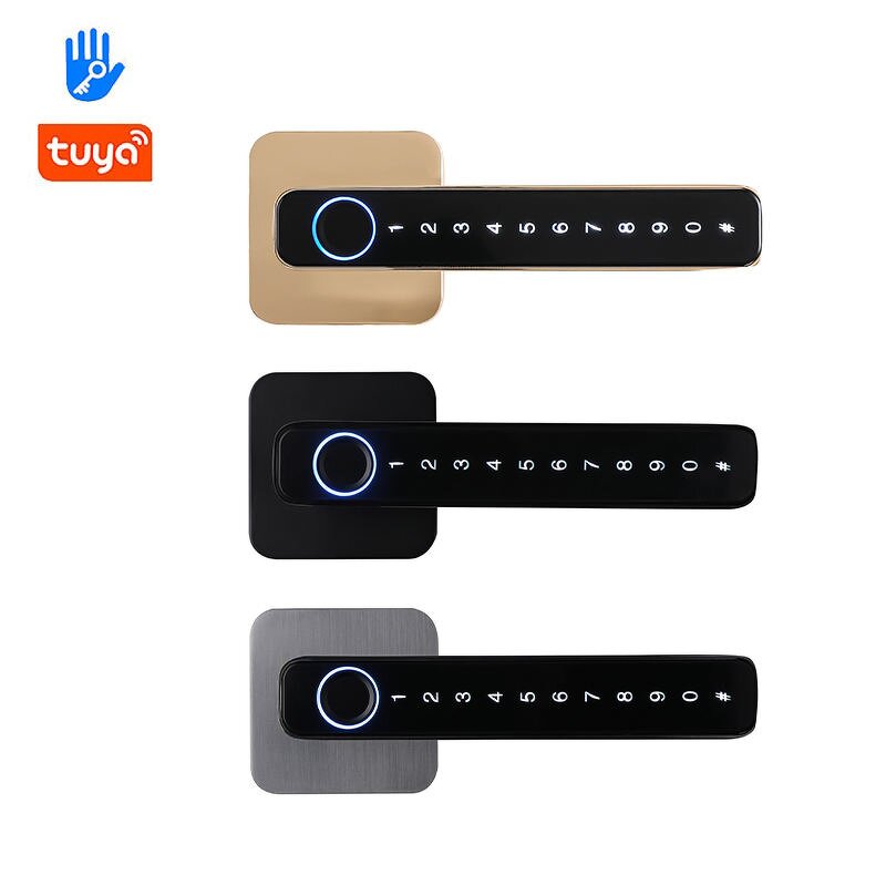 Smart Lever Handle Lock Factory - BBDHOME Intelligent Fingerprint Password Tuya