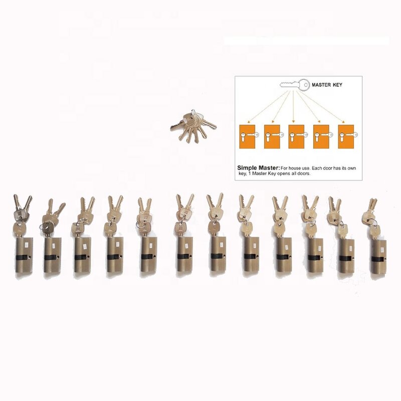 Master Key Cylinder Supplier - Project Manager for Door Lock Master Key