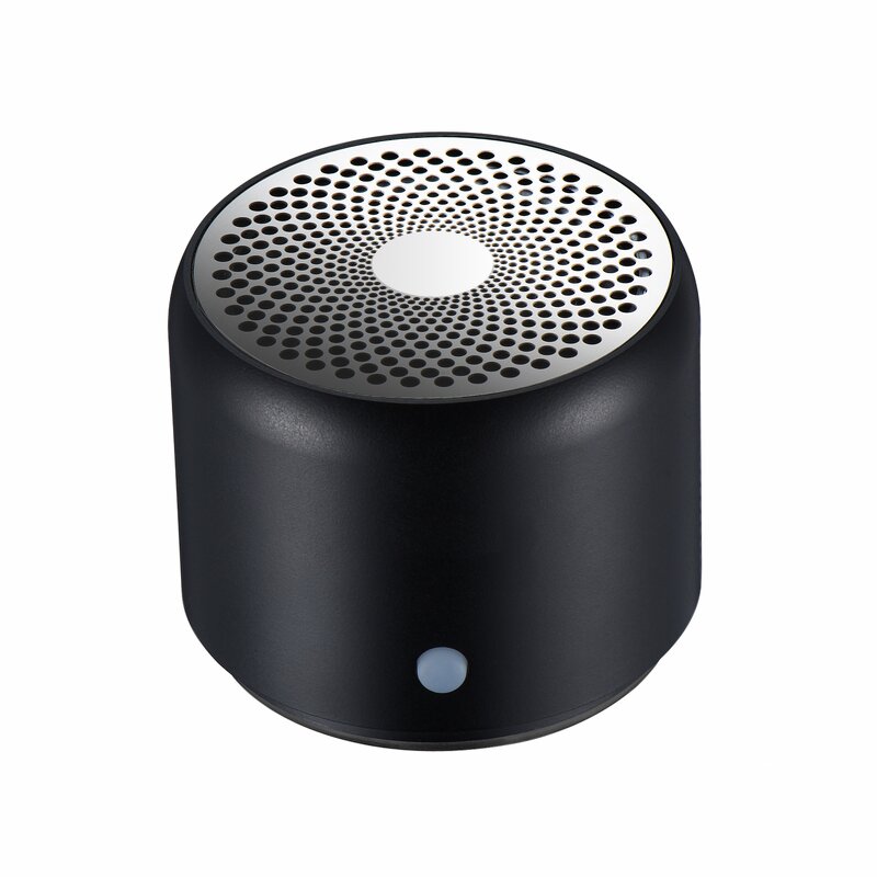 BT Speaker Manufacturer - OEM A106pro Mini Portable with Custom Bass Radiator for Home