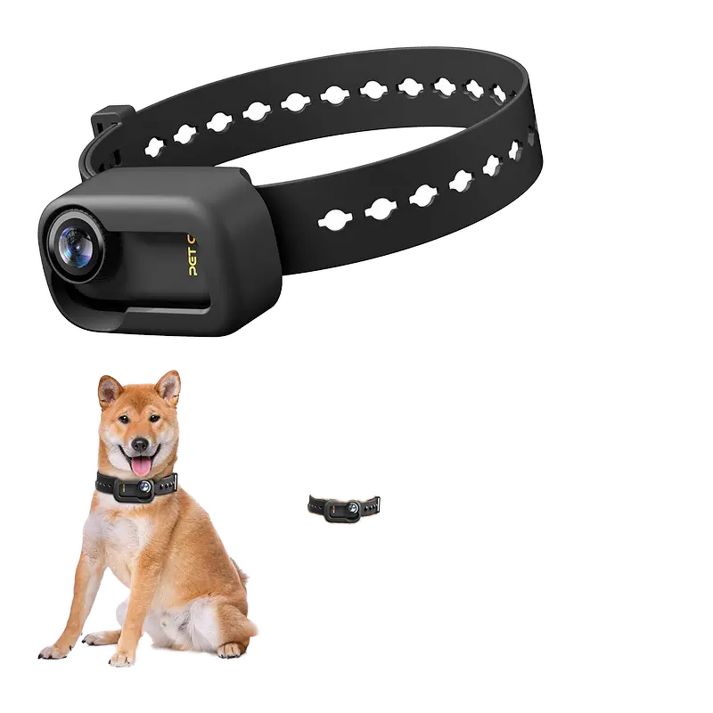 Pet Action Camera Supplier - OEM 4K WiFi for Pets Magnetic Mount with Remote Control App