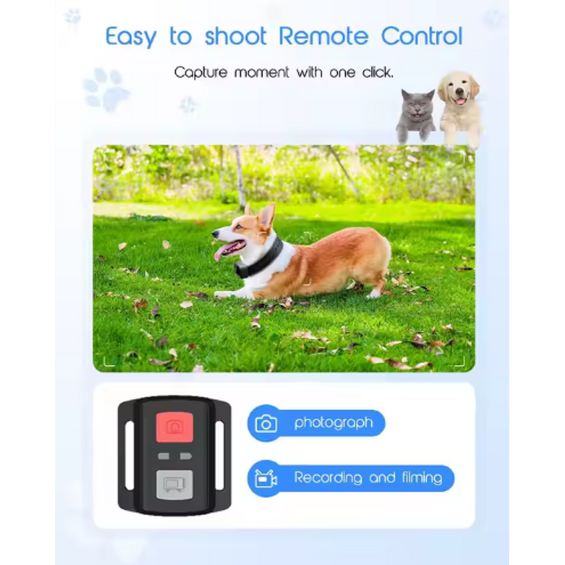Pet Action Camera Supplier - OEM 4K WiFi for Pets Magnetic Mount with Remote Control App