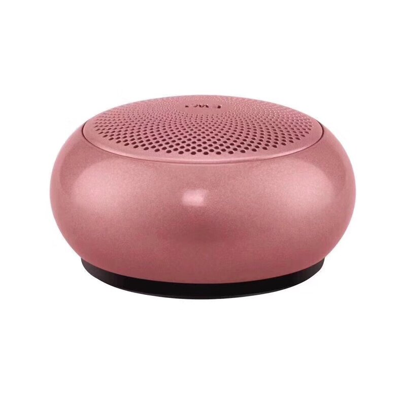 BT Speaker Supplier - OEM EWA A110MINI High Quality Portable TWS for Parties Multimedia