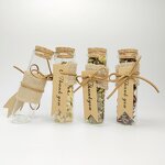 Glass Tube with cork