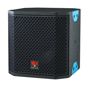 6.5" Coaxial Loudspeaker Manufacturer - QS Kapok CX-6F 180W Two-way