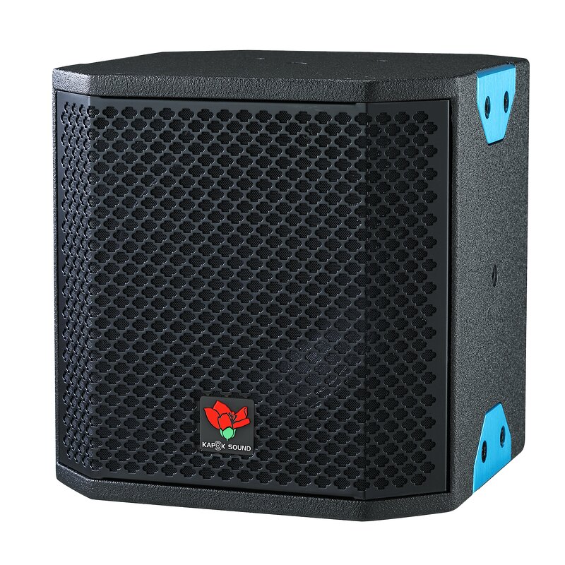 Two-way Coaxial Speaker Factory - QS Kapok CX-5F 130W 5.5" Full Range