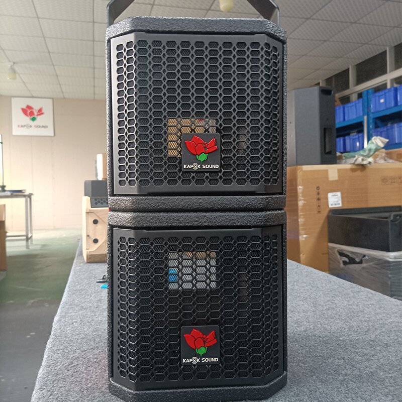 6.5" Coaxial Loudspeaker Manufacturer - QS Kapok CX-6F 180W Two-way