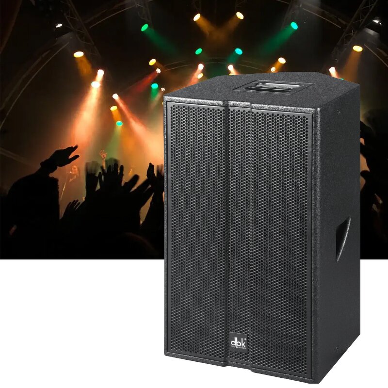 Active Full-range Speaker Supplier - QS Dbk Q10P Single 10" 350 W DSP