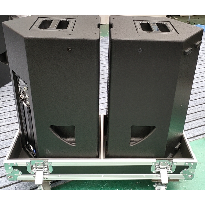 Active Full-range Speaker Supplier - QS Dbk Q10P Single 10" 350 W DSP