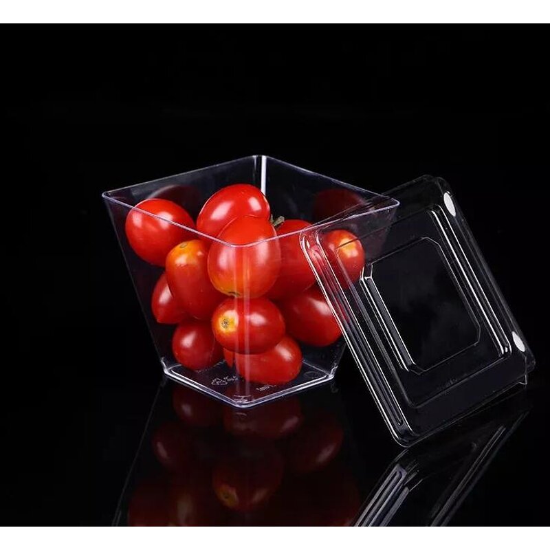 Plastic Dessert Cup Supplier - 9OZ 270ml Clear Square Disposable Festival